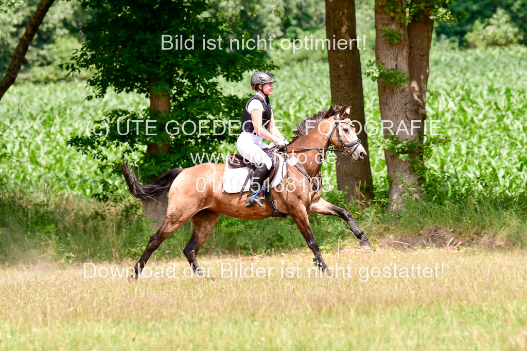 Mechtersen Geläneturnier  27.06.2021 | 270621 Paarklasse  XC _454 