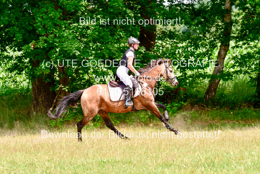 Mechtersen Geläneturnier  27.06.2021 | 270621 Paarklasse  XC _457 