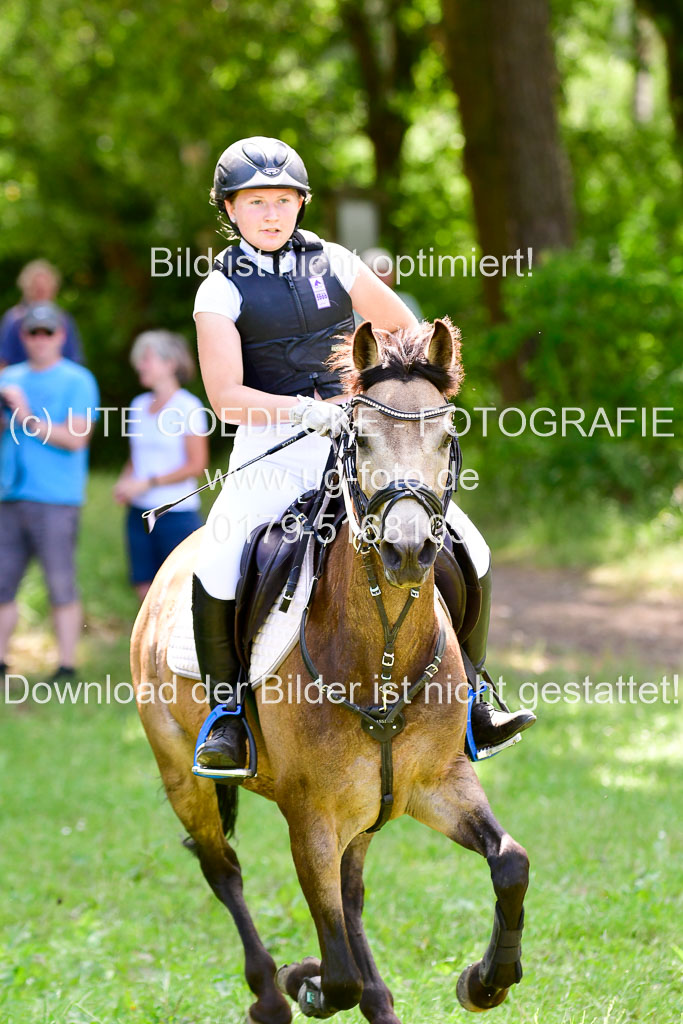 Mechtersen Geläneturnier  27.06.2021 | 270621 Paarklasse  XC _464 