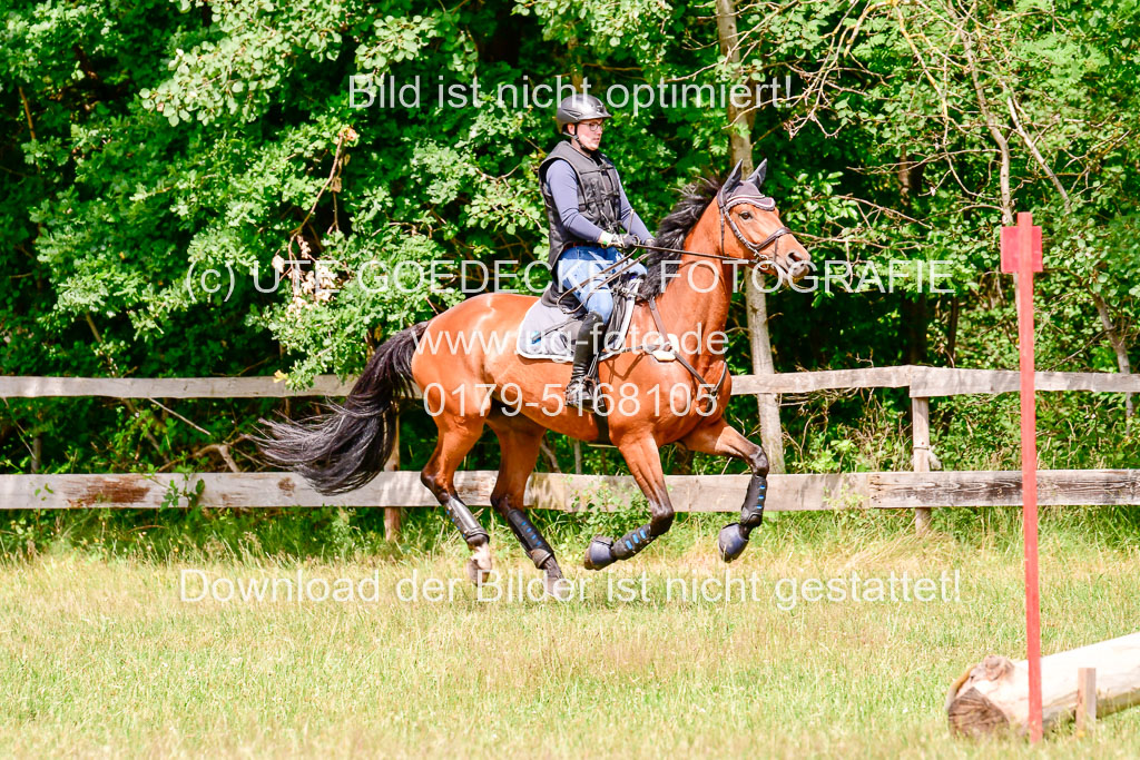 Mechtersen Geläneturnier  27.06.2021 | 270621 Paarklasse  XC _480 