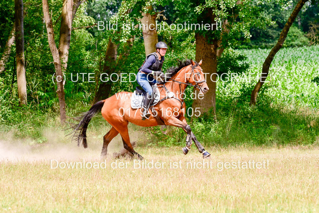 Mechtersen Geläneturnier  27.06.2021 | 270621 Paarklasse  XC _484 