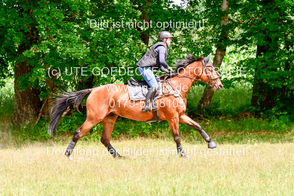 Mechtersen Geläneturnier  27.06.2021 | 270621 Paarklasse  XC _487 