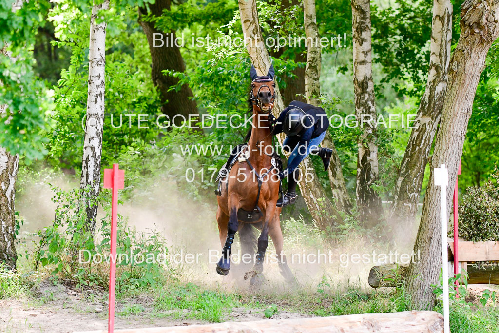 Mechtersen Geläneturnier  27.06.2021 | 270621 Paarklasse  XC _492 