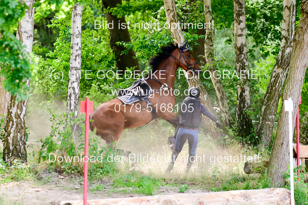 Mechtersen Geläneturnier  27.06.2021 | 270621 Paarklasse  XC _493 