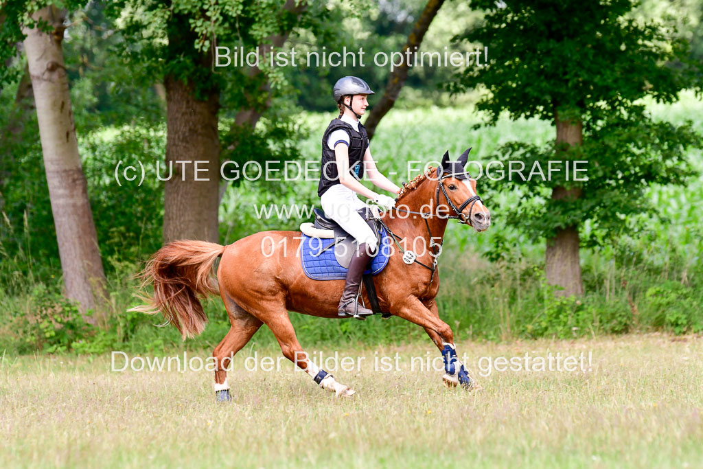 Mechtersen Geläneturnier  27.06.2021 | 270621 Paarklasse  XC _498 