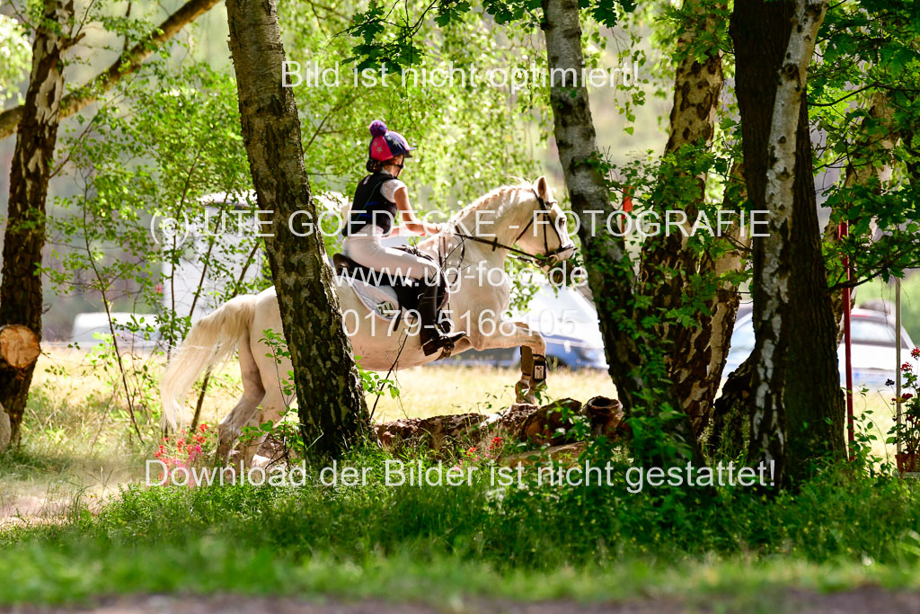 Mechtersen Geläneturnier  27.06.2021 | 270621 Paarklasse  XC _519 