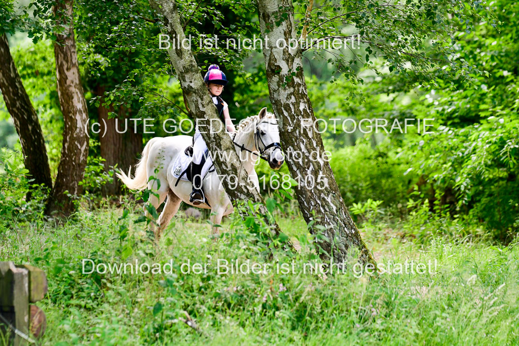 Mechtersen Geläneturnier  27.06.2021 | 270621 Paarklasse  XC _520 