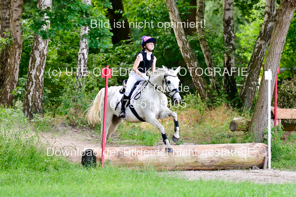 Mechtersen Geläneturnier  27.06.2021 | 270621 Paarklasse  XC _521 