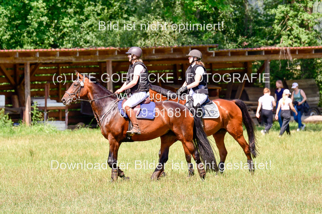 Mechtersen Geläneturnier  27.06.2021 | 270621 Paarklasse  XC 