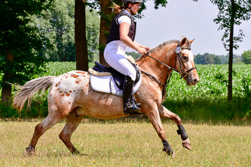Mechtersen Geläneturnier  27.06.2021 | 270621 Paarklasse  XC _030 