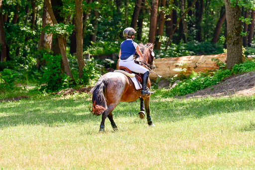 Mechtersen Geläneturnier  27.06.2021 | 270621 Paarklasse  XC _031 