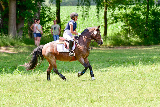 Mechtersen Geläneturnier  27.06.2021 | 270621 Paarklasse  XC _036 