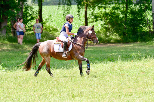 Mechtersen Geläneturnier  27.06.2021 | 270621 Paarklasse  XC _037 