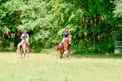 Mechtersen Geläneturnier  27.06.2021 | 270621 Paarklasse  XC _041 