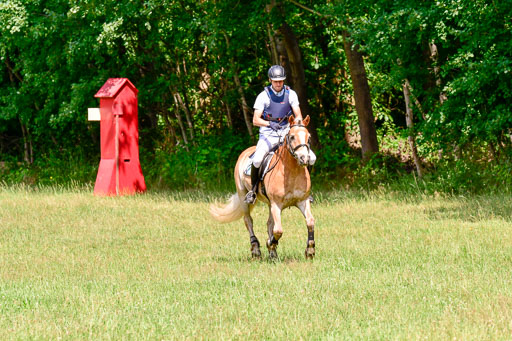 Mechtersen Geläneturnier  27.06.2021 | 270621 Paarklasse  XC _044 