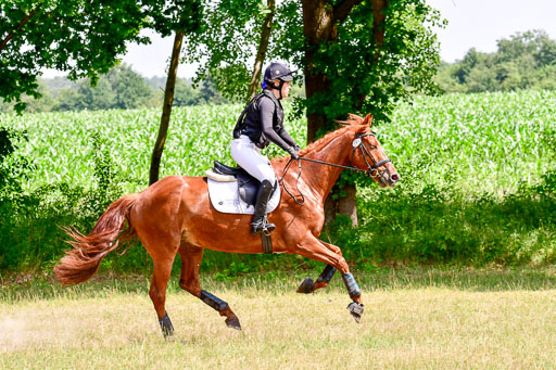 Mechtersen Geläneturnier  27.06.2021 | 270621 Paarklasse  XC _052 