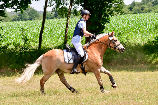 Mechtersen Geläneturnier  27.06.2021 | 270621 Paarklasse  XC _053 