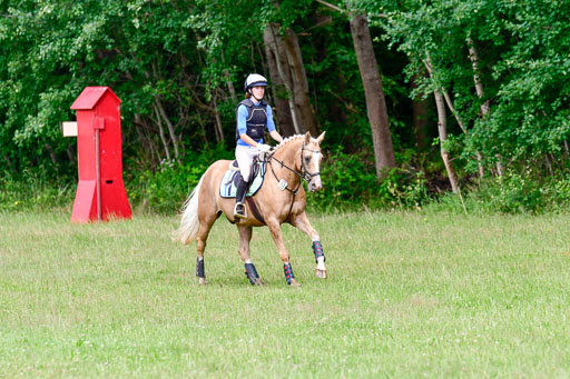Mechtersen Geläneturnier  27.06.2021 | 270621 Paarklasse  XC _069 