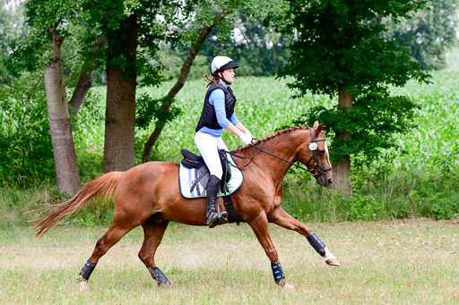 Mechtersen Geläneturnier  27.06.2021 | 270621 Paarklasse  XC _077 