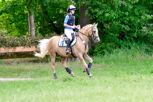 Mechtersen Geläneturnier  27.06.2021 | 270621 Paarklasse  XC _081 