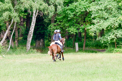 Mechtersen Geläneturnier  27.06.2021 | 270621 Paarklasse  XC _084 