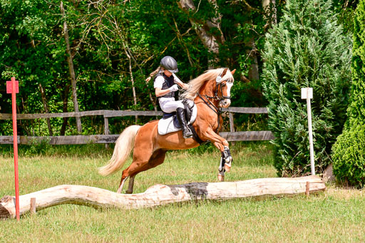 Mechtersen Geläneturnier  27.06.2021 | 270621 Paarklasse  XC _110 