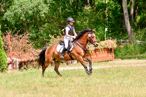 Mechtersen Geläneturnier  27.06.2021 | 270621 Paarklasse  XC _200 