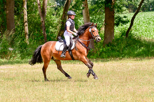 Mechtersen Geläneturnier  27.06.2021 | 270621 Paarklasse  XC _202 
