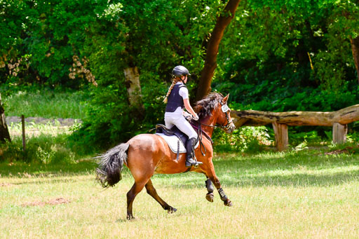 Mechtersen Geläneturnier  27.06.2021 | 270621 Paarklasse  XC _204 