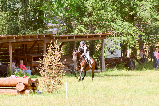 Mechtersen Geläneturnier  27.06.2021 | 270621 Paarklasse  XC _210 