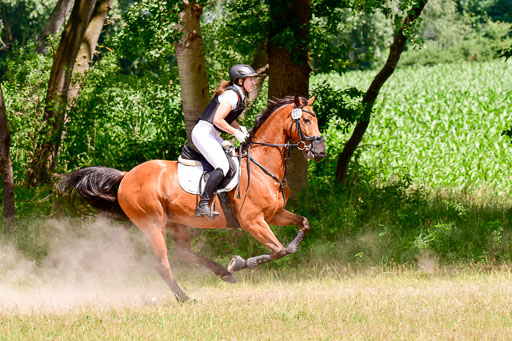 Mechtersen Geläneturnier  27.06.2021 | 270621 Paarklasse  XC _221 