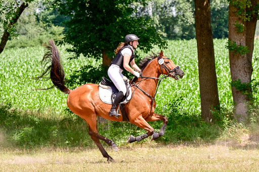Mechtersen Geläneturnier  27.06.2021 | 270621 Paarklasse  XC _223 