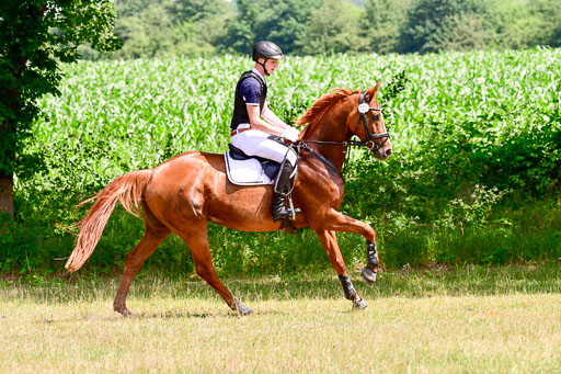 Mechtersen Geläneturnier  27.06.2021 | 270621 Paarklasse  XC _224 