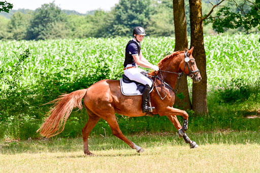 Mechtersen Geläneturnier  27.06.2021 | 270621 Paarklasse  XC _225 