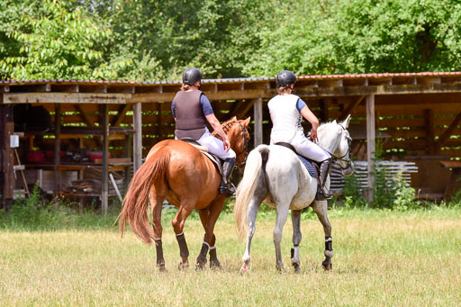 Mechtersen Geläneturnier  27.06.2021 | 270621 Paarklasse  XC _233 