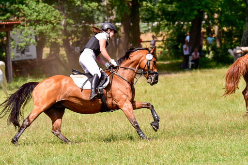 Mechtersen Geläneturnier  27.06.2021 | 270621 Paarklasse  XC _235 