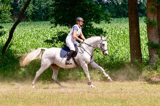 Mechtersen Geläneturnier  27.06.2021 | 270621 Paarklasse  XC _246 