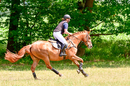 Mechtersen Geläneturnier  27.06.2021 | 270621 Paarklasse  XC _248 