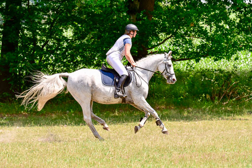 Mechtersen Geläneturnier  27.06.2021 | 270621 Paarklasse  XC _250 