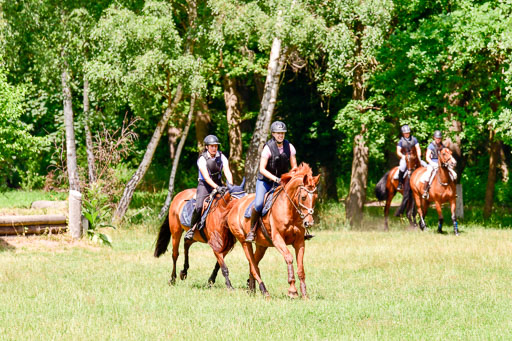 Mechtersen Geläneturnier  27.06.2021 | 270621 Paarklasse  XC _260 