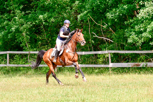 Mechtersen Geläneturnier  27.06.2021 | 270621 Paarklasse  XC _283 