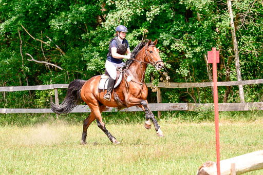 Mechtersen Geläneturnier  27.06.2021 | 270621 Paarklasse  XC _285 