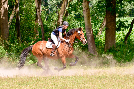 Mechtersen Geläneturnier  27.06.2021 | 270621 Paarklasse  XC _291 