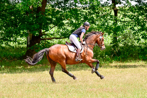 Mechtersen Geläneturnier  27.06.2021 | 270621 Paarklasse  XC _295 