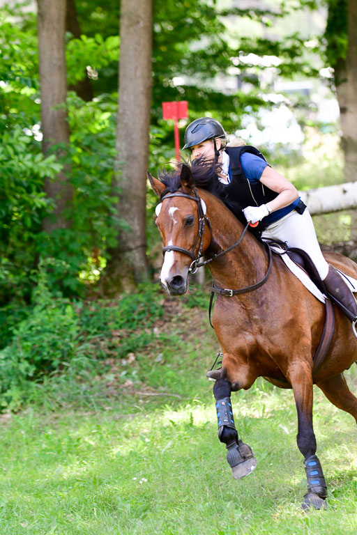 Mechtersen Geläneturnier  27.06.2021 | 270621 Paarklasse  XC _303 