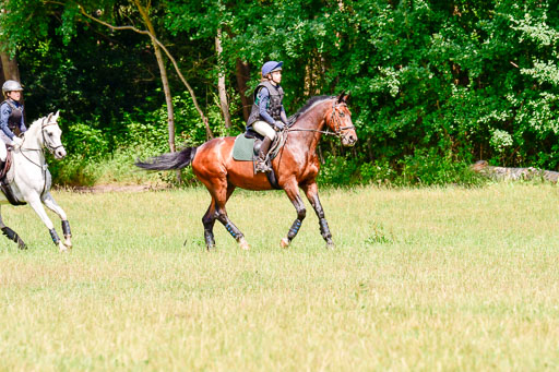 Mechtersen Geläneturnier  27.06.2021 | 270621 Paarklasse  XC _311 