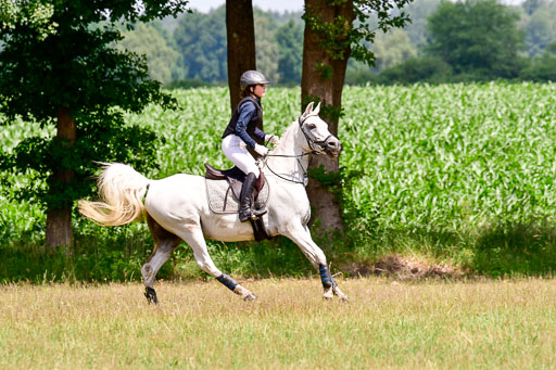 Mechtersen Geläneturnier  27.06.2021 | 270621 Paarklasse  XC _316 