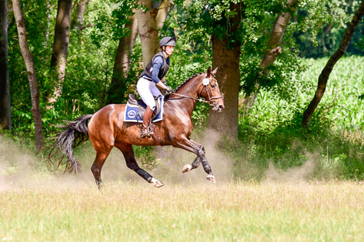 Mechtersen Geläneturnier  27.06.2021 | 270621 Paarklasse  XC _336 