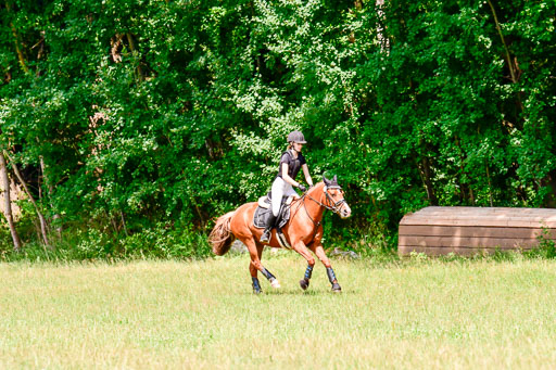 Mechtersen Geläneturnier  27.06.2021 | 270621 Paarklasse  XC _391 