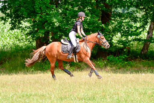 Mechtersen Geläneturnier  27.06.2021 | 270621 Paarklasse  XC _399 